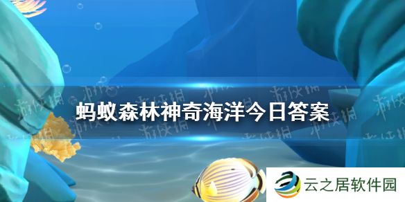 猜一猜玻璃鱿鱼遇到捕食者时会采取以下哪种做法  神奇海洋12月27日答案